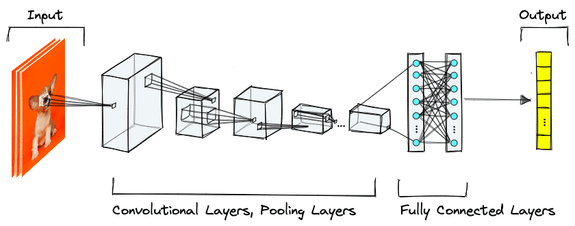 The typical architecture of a CNN.