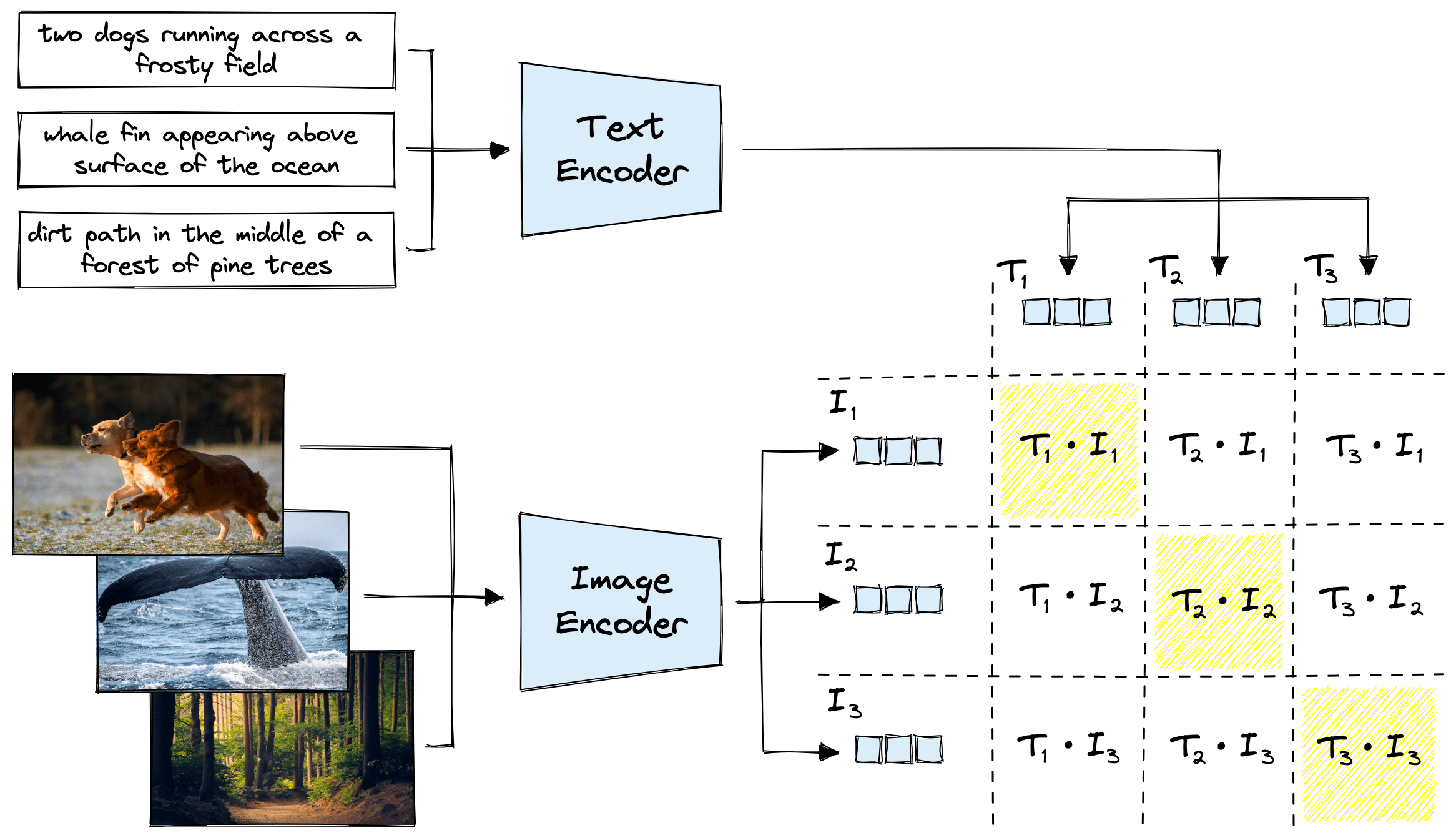 Contrastive pretraining with CLIP.